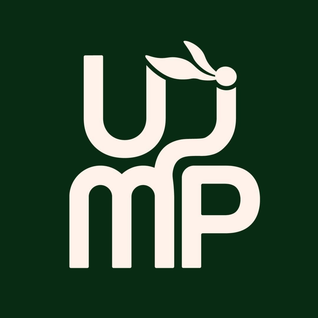 UIMP Logo